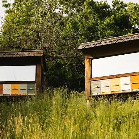 Ladybug Eco House