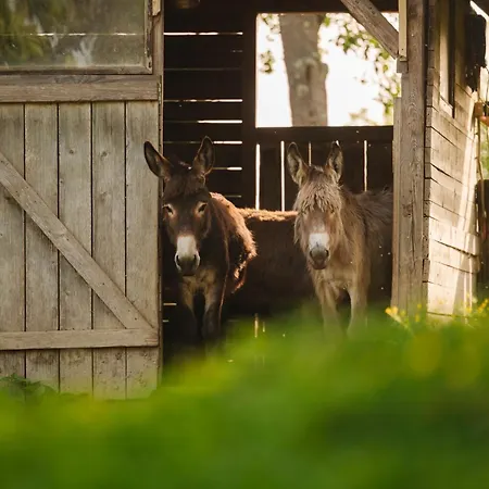 Ladybug Eco House 度假居