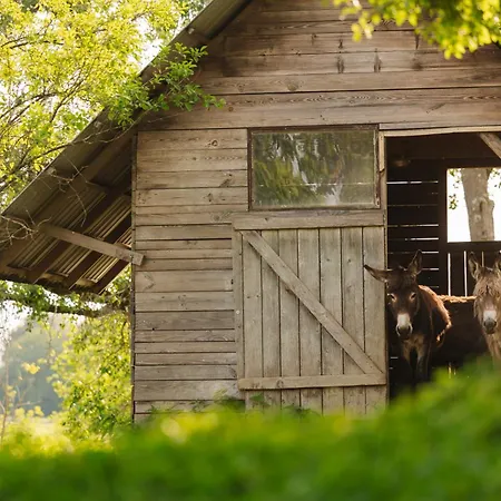 Ladybug Eco House Gradisce pri Lukovici