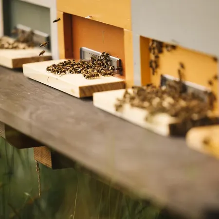 度假居 Ladybug Eco House Gradisce pri Lukovici