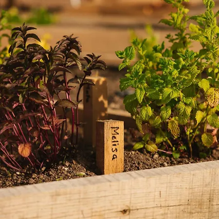 Ladybug Eco House Gradisce pri Lukovici
