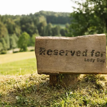 Ladybug Eco House Дом отдыха *