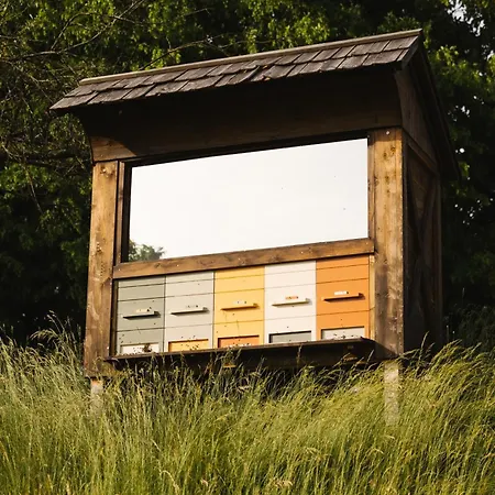 Ladybug Eco House Дом отдыха Gradisce pri Lukovici