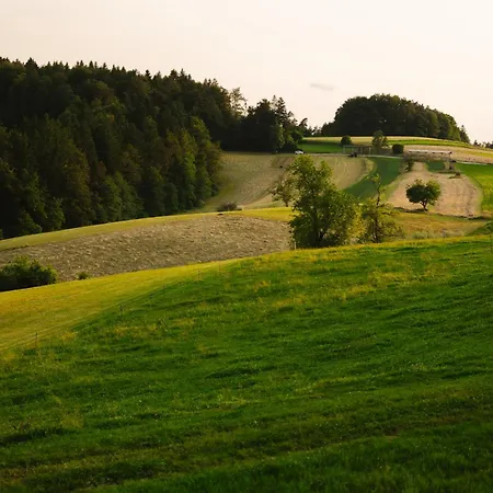 Ladybug Eco House Gradisce pri Lukovici