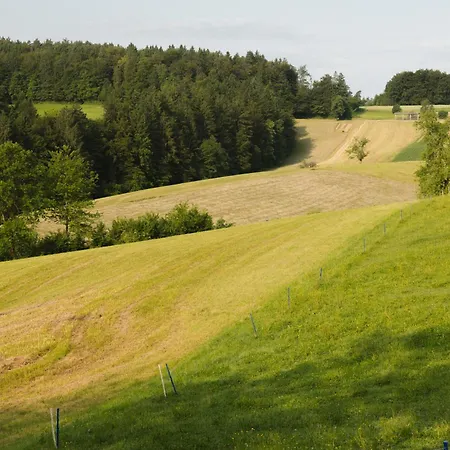 Ladybug Eco House Gradisce pri Lukovici