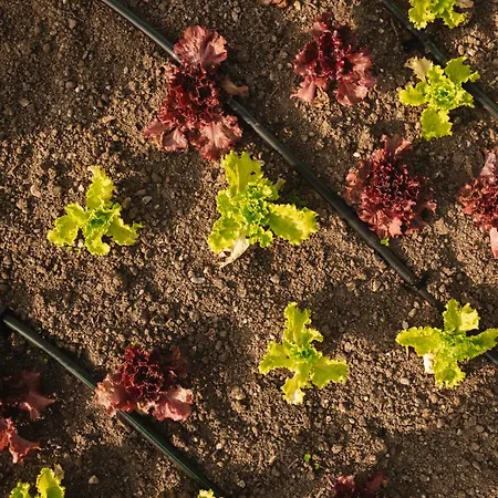 Дом отдыха Ladybug Eco House