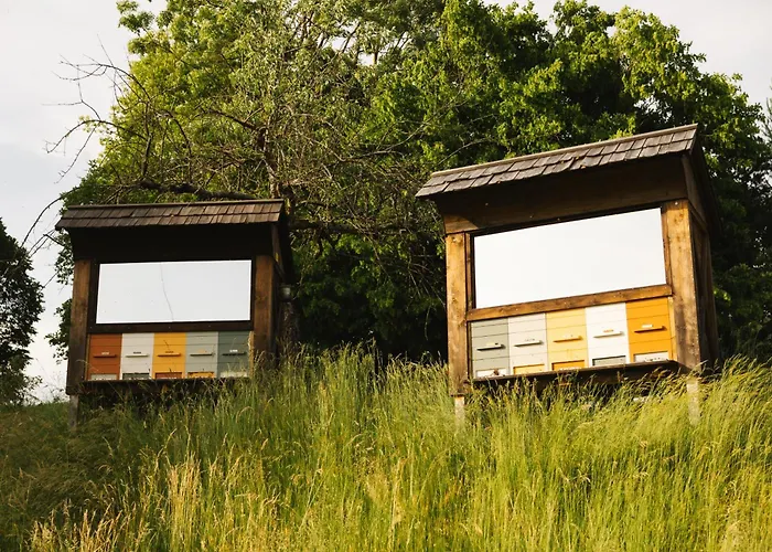 Ladybug Eco House