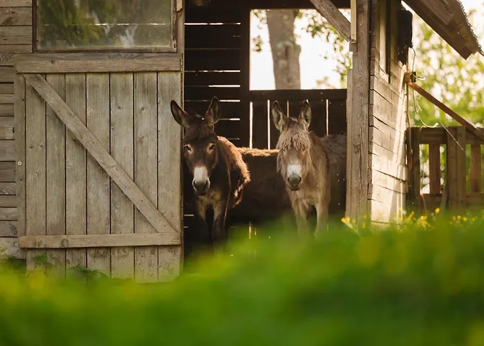 Ladybug Eco House Semesterbostad