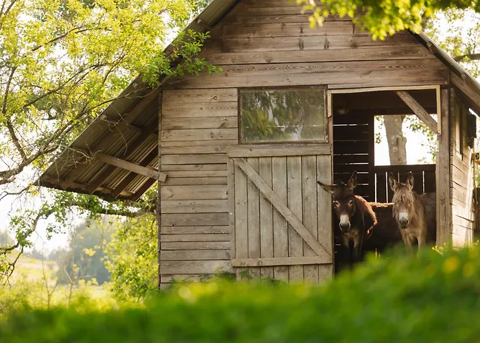Ladybug Eco House Gradisce pri Lukovici