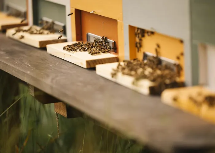 Semesterbostad Ladybug Eco House Gradisce pri Lukovici