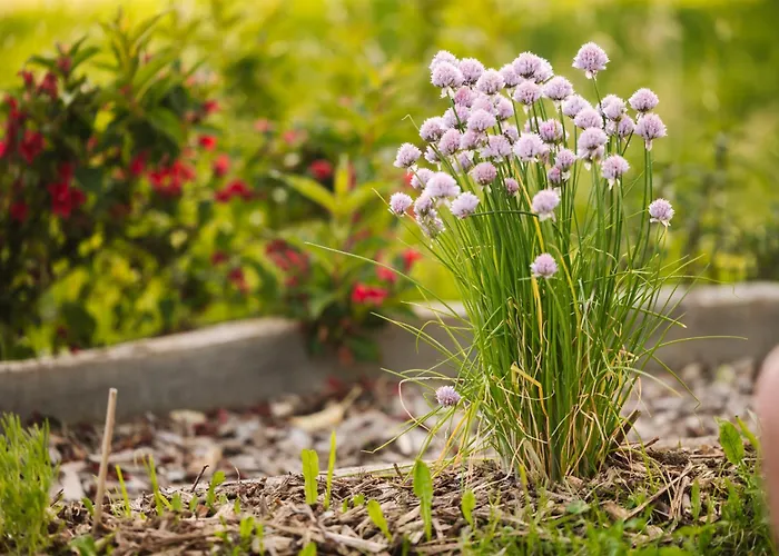 Ladybug Eco House * Gradisce pri Lukovici