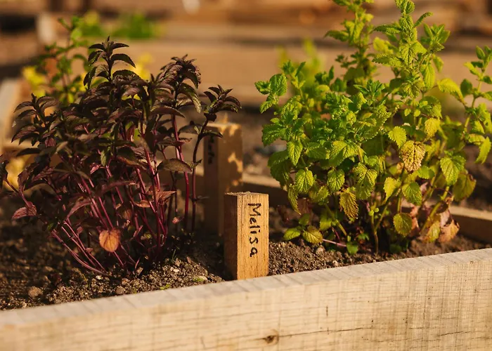 Ladybug Eco House Gradisce pri Lukovici