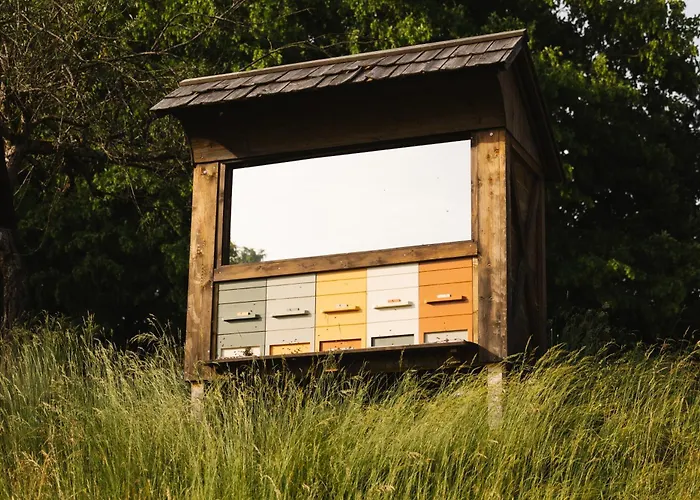 Ladybug Eco House Nyaraló Gradisce pri Lukovici