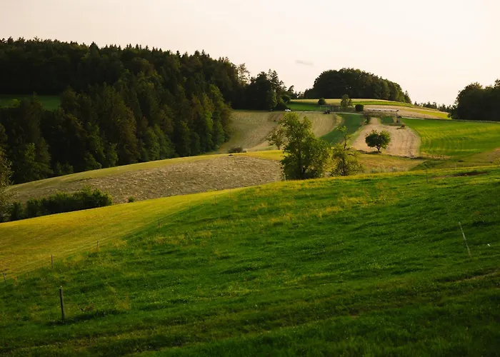 Ladybug Eco House Gradisce pri Lukovici