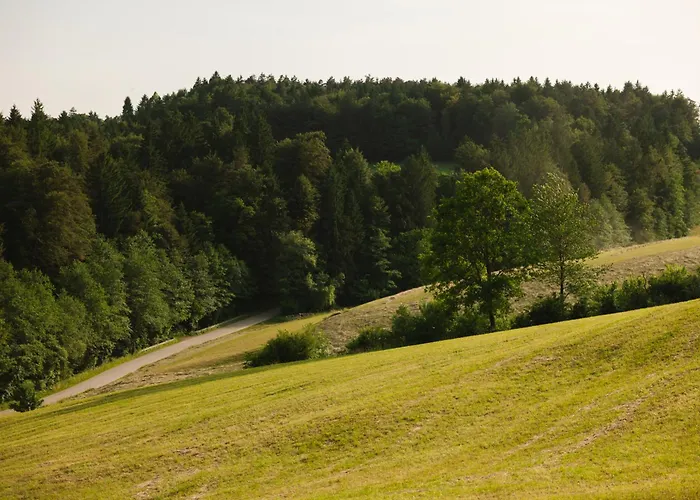 Ladybug Eco House Semesterbostad *