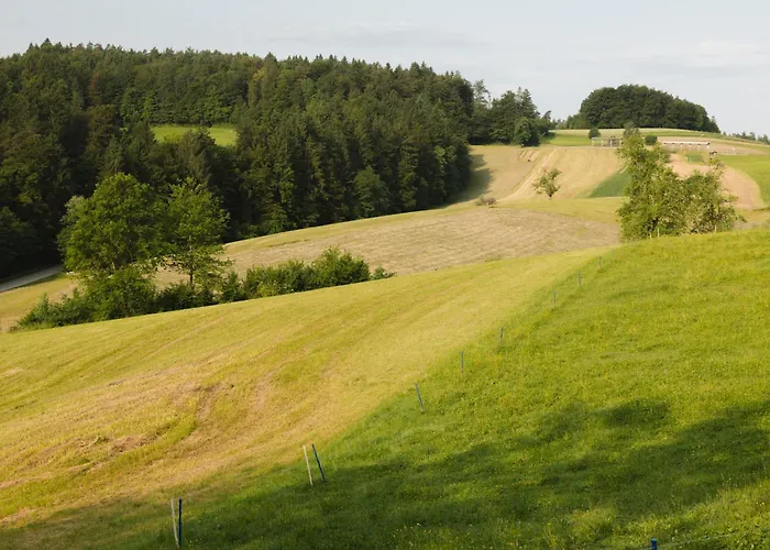 Ladybug Eco House Gradisce pri Lukovici